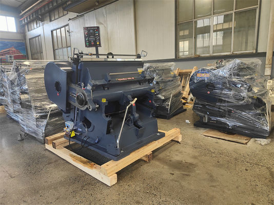 1100mm 플라스틱 필름 포장 재료